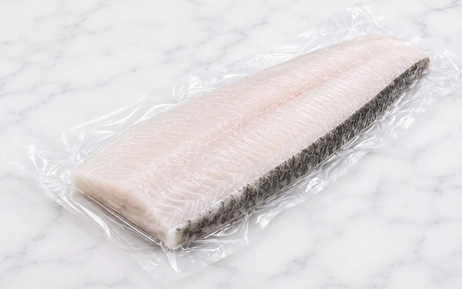 Sturgeon Fillet